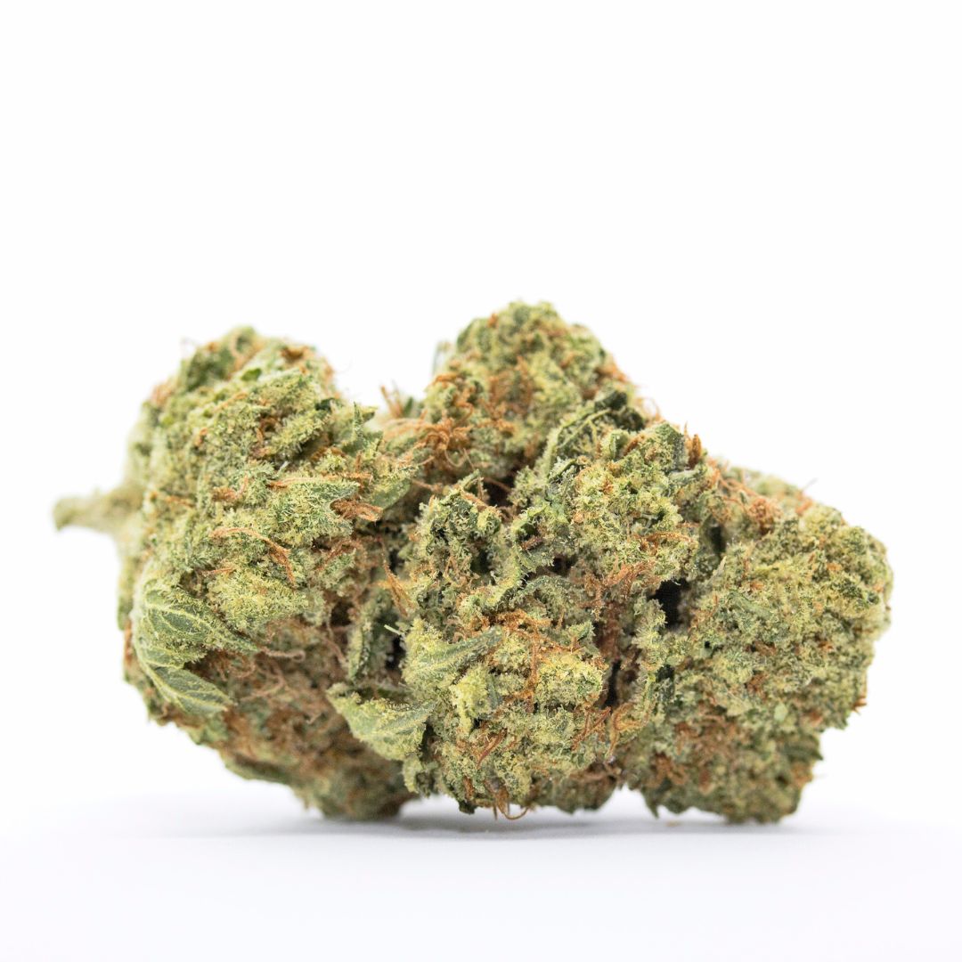 Northern Lights