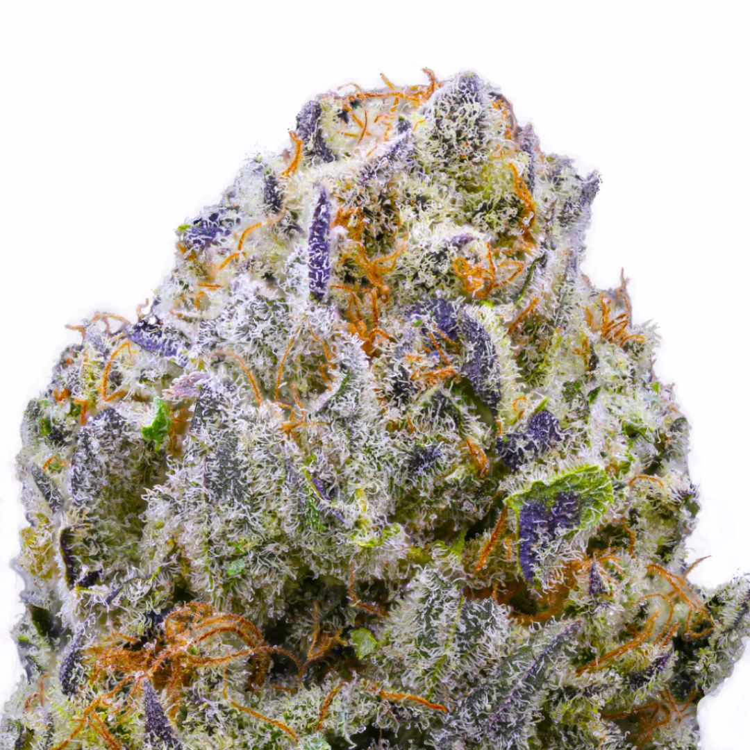 Purple Haze